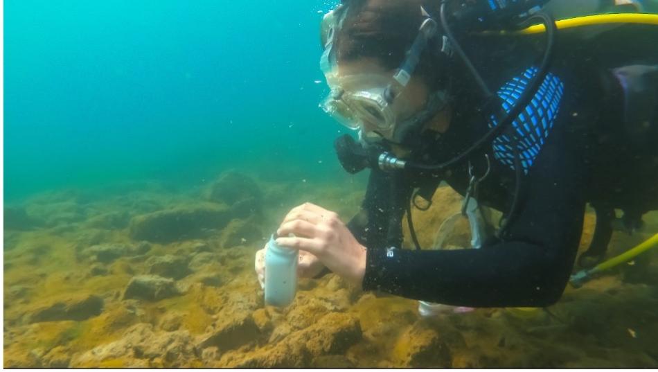 Jennifer Massoll, Assistant Limnologist